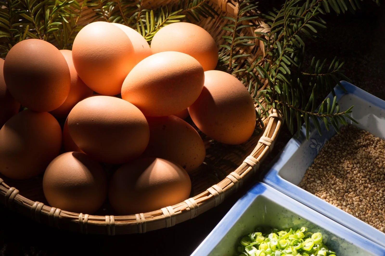 熊本で育った鶏の玉子