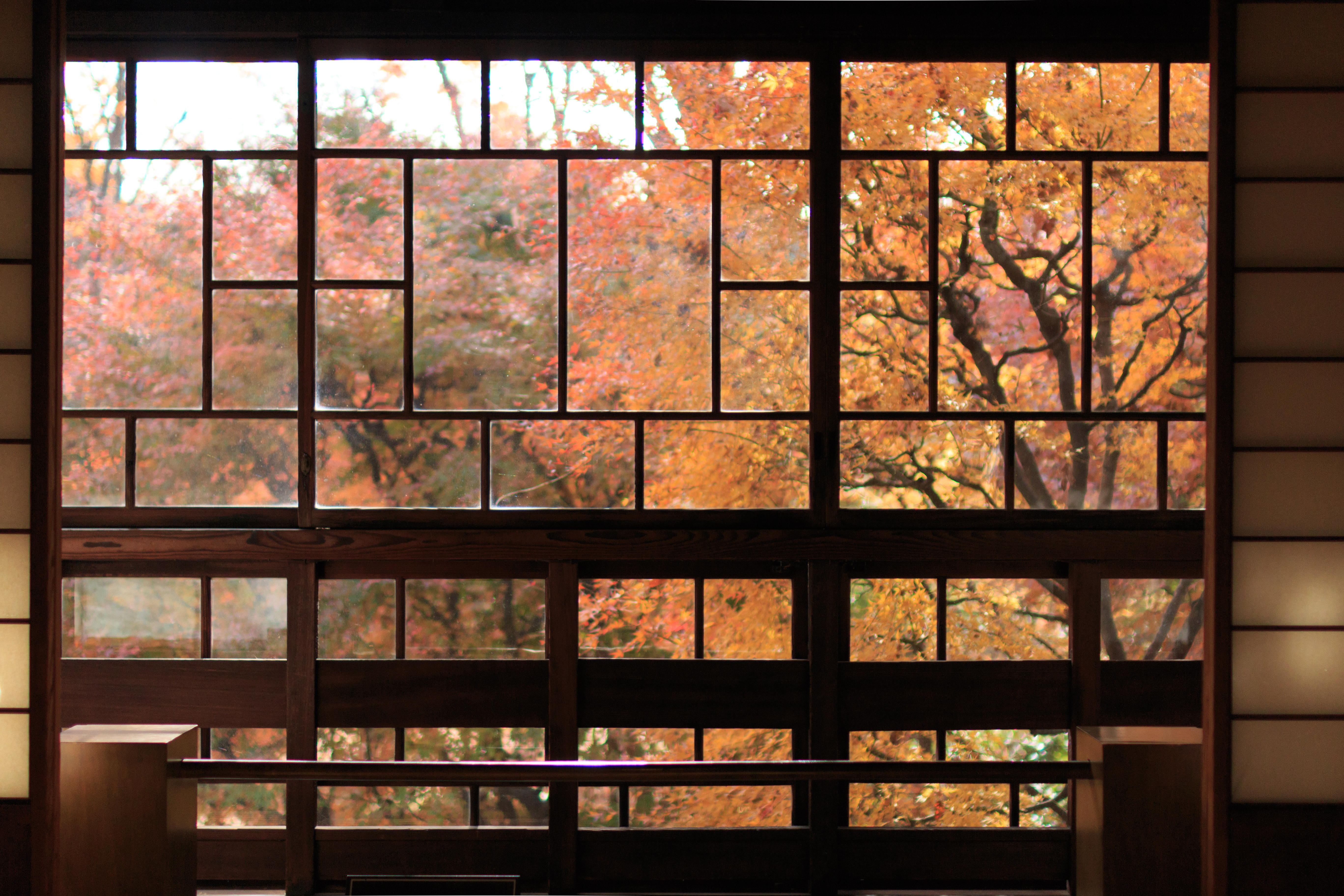 廊下から見た紅葉の風景